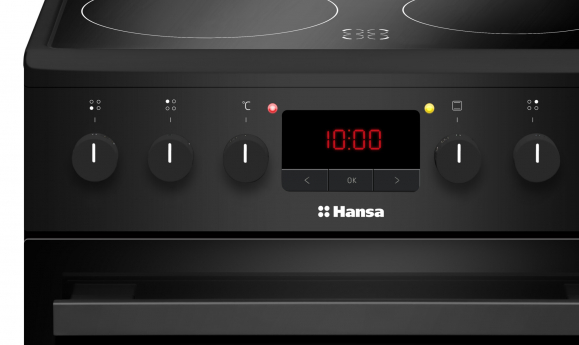 электрическая плита hansa fccm58209h, купить в Красноярске электрическая плита hansa fccm58209h,  купить в Красноярске дешево электрическая плита hansa fccm58209h, купить в Красноярске минимальной цене электрическая плита hansa fccm58209h